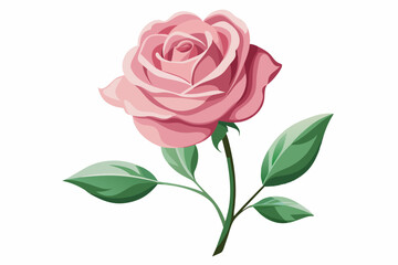 Watercolor pink rose with leaves and stem silhouette vector illustration