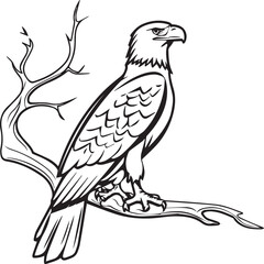 Eagle coloring pages. Eagle bird outline vector for coloring book
