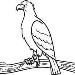 Fototapeta na wymiar Eagle coloring pages. Eagle bird outline vector for coloring book