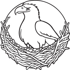 Eagle coloring pages. Eagle bird outline vector for coloring book