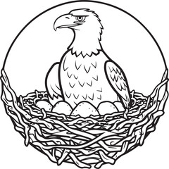 Eagle coloring pages. Eagle bird outline vector for coloring book