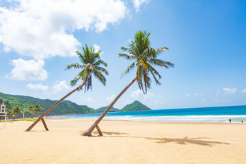 Coconut tree style on summer beach at Daidai Island, Lingshui, Hainan, China