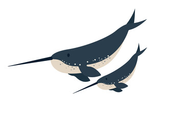 Vector flat illustration isolated on white background, sea animals illustration, vector flat big narwhal with a cute baby, marine life © luamor
