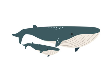 Vector flat illustration isolated on white background, sea animals illustration, vector flat big whale with a baby whale, marine life