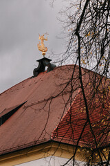 Golden Guardian: The Bavarian Church Rooftop in Nature's Embrace