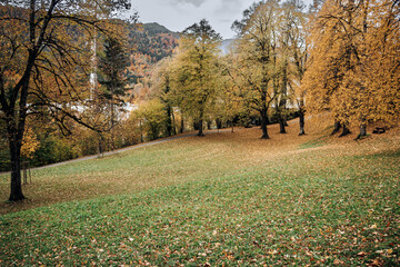 Autumnal Serenity: A Park's Tranquil Landscape