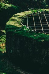 Vertical shot of an old well covered with moss.