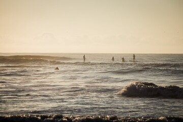 Beautiful view of people surfing on a sea under the clear sky during sunrise