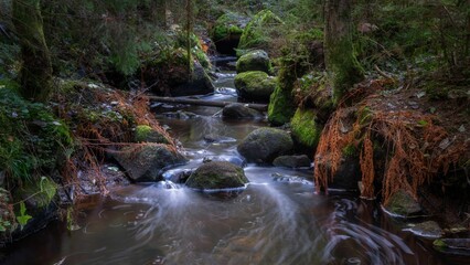 Creek flowing through mossy stones and trees in Getaravinen (The Goat Tear Ravine )