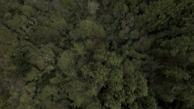 Drone shot of Colombian forests in the town of Neusa with a lake