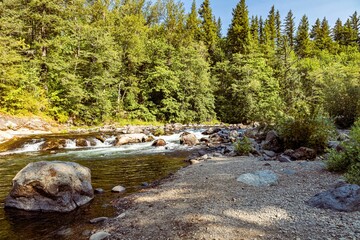 View of a stream and forest