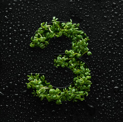 Number three is created from young green arugula sprouts on a black background covered with water...
