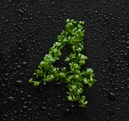 Number four is created from young green arugula sprouts on a black background covered with water...