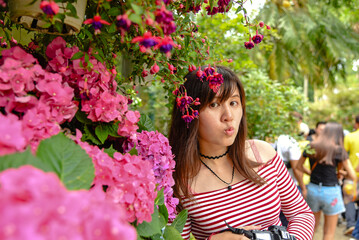 Taiwan May 16, 2018: Taiwanese June blooming hydrangeas and a young Asian girl in the garden