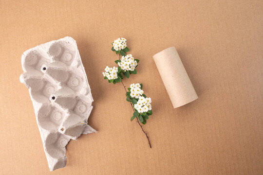 Empty egg carton, white flowers, toilet paper roll, assorted craft materials, top view