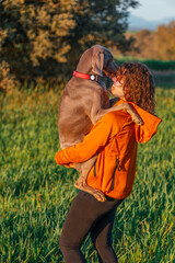 Young beautiful woman in a green meadow carrying her pet Weimaraner dog in her arms. A happy Weimaraner and a girl walking on a beautiful warm and sunny day as best friends. - 781240263