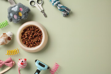 Pet accessories and bowl of dry food on green background. Pet care, grooming, training concept. Top view. Flat lay.