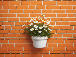 Old vintage orange brick wall decorated with white daisy in small pots for background.