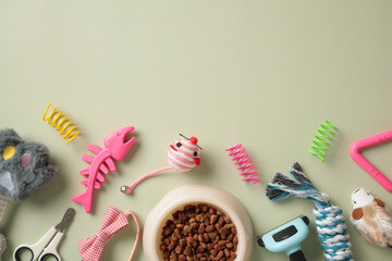 Flat lay composition with cat toys and bowl of dry food on green background. Pet care, training, grooming concept. Pet store banner design.