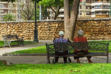banco, aparcar, huerta, césped, asiento, naturaleza