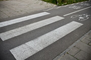 pedestrian crossing in the street
