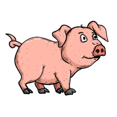 Illustration of pig on white
