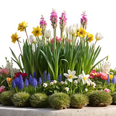 The flower bed is isolated on a white background