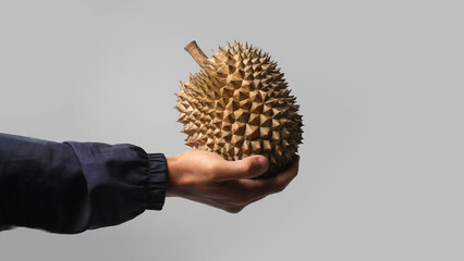 Hand holding ripe durian fruit on white background