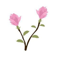 Pink magnolia flower with leaves isolated on white background. Beautiful blooming magnolia flower on branch in flat style. Elegant japanese exotic flower with petals. Colored flat vector illustration