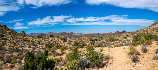 Panorama of desert in sunny day