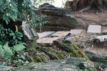 Chinese Government Building, night view of Yuxian Lake Park in Xiegang Town, Dongguan City. People often walk and chat at night. During the Spring Festival, fireworks are also set off to celebrate the