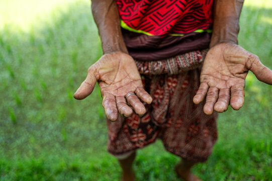 Elderly Balinese Person Showcasing Weathered Hands
