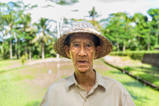 Balinese farmer in traditional hat standing in rice field