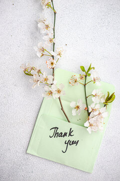 Thank you card with cherry blossom branch overhead