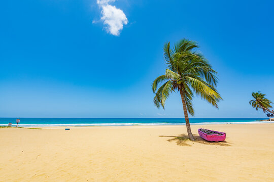 Beautiful view of coconut tree beach at Daidai Island, Lingshui, Hainan, China