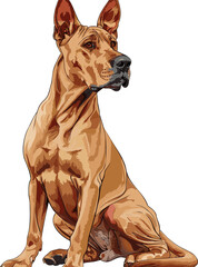 Thai Ridgeback dog adorable art vector illustration	