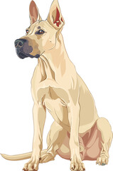 Thai Ridgeback dog adorable art vector illustration	