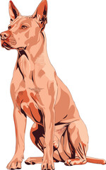 Thai Ridgeback adorable art vector illustration	
