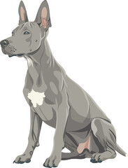 Thai Ridgeback adorable art vector illustration	
