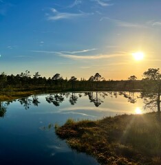 calm on a forest lake