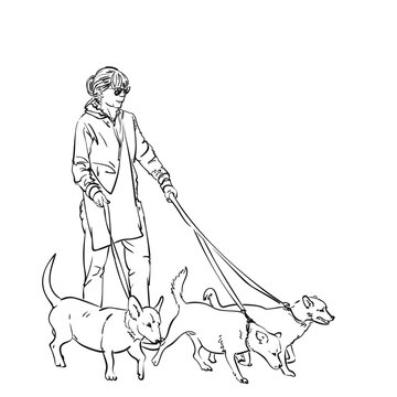 Woman walking three dogs on a leash, Hand drawn linear illustration, Vector sketch people with domestic animals