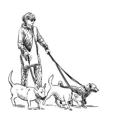 Adult woman walking three dogs on a leash, Hand drawn illustration, Vector sketch people with pet animals