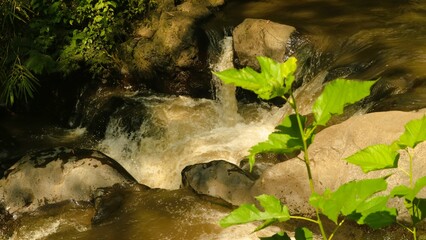 Water flowing in the rocky river, fresh lasndscape for healing