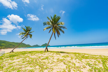 Beautiful view of coconut tree beach at Daidai Island, Lingshui, Hainan, China