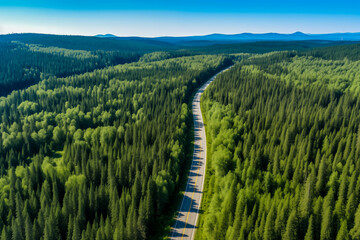 Aerial view green forest and asphalt road. Generative AI