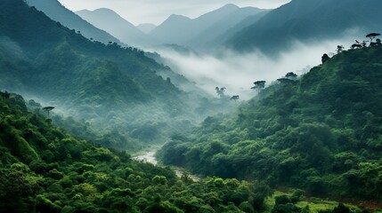 The dense greenery of a mountain valley is enveloped in a soft morning fog, blending the outlines of layered hills