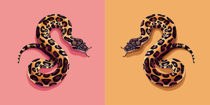 Vector trendy poster design with leopard print snakes. Leopard snake on pink and orange background. Modern design for t-shirt print, home decor, textile 