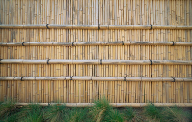 Bamboo fence in a vegetable garden.