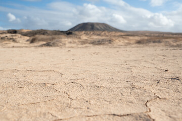 A desert landscape with a large mountain in the background. The sky is clear and the sun is shining