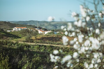 view from the top of the hill